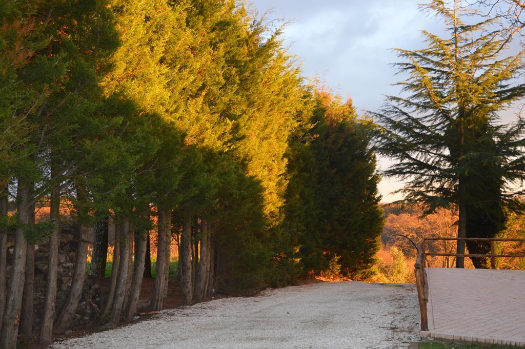 Agriturismo La Collina Pitigliano Eksteriør billede