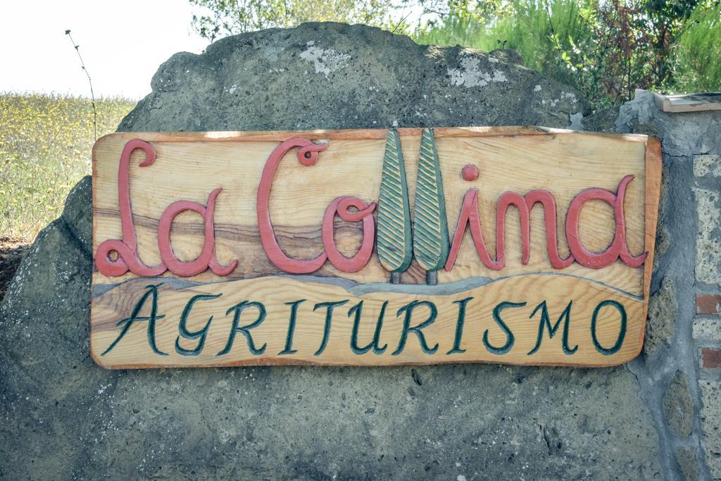 Agriturismo La Collina Pitigliano Eksteriør billede